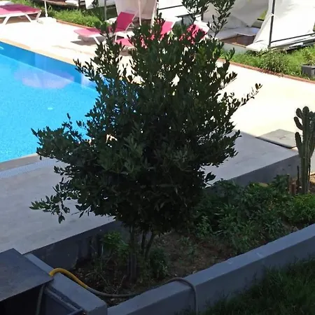 Hotel Alya